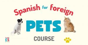 Spanish for pets